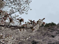IMG_3291