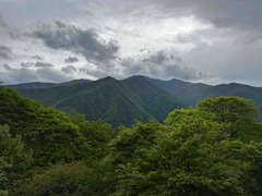 IMG_2726