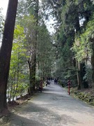 IMG_0577