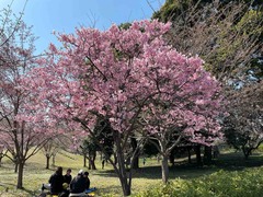IMG_4556