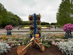 IMG_6426