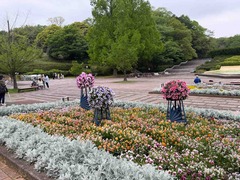 IMG_6427
