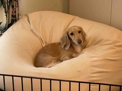IMG_9725