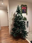 IMG_9674