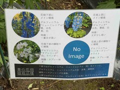 IMG_6401