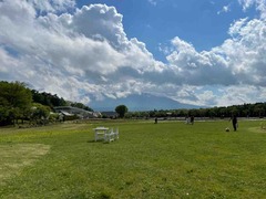 IMG_6847