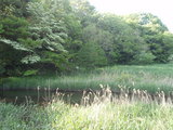 自然観察公園