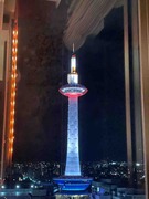IMG_4562