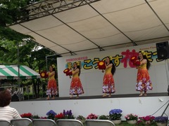 花祭り2014