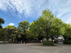 IMG_6856