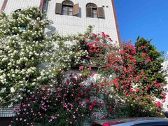 IMG_6420