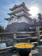 IMG_2903