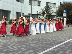 IMG_3442