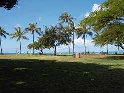 P3150129