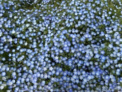 IMG_3656