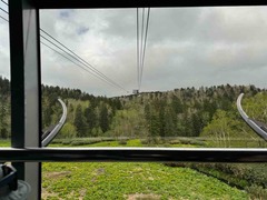 IMG_3666