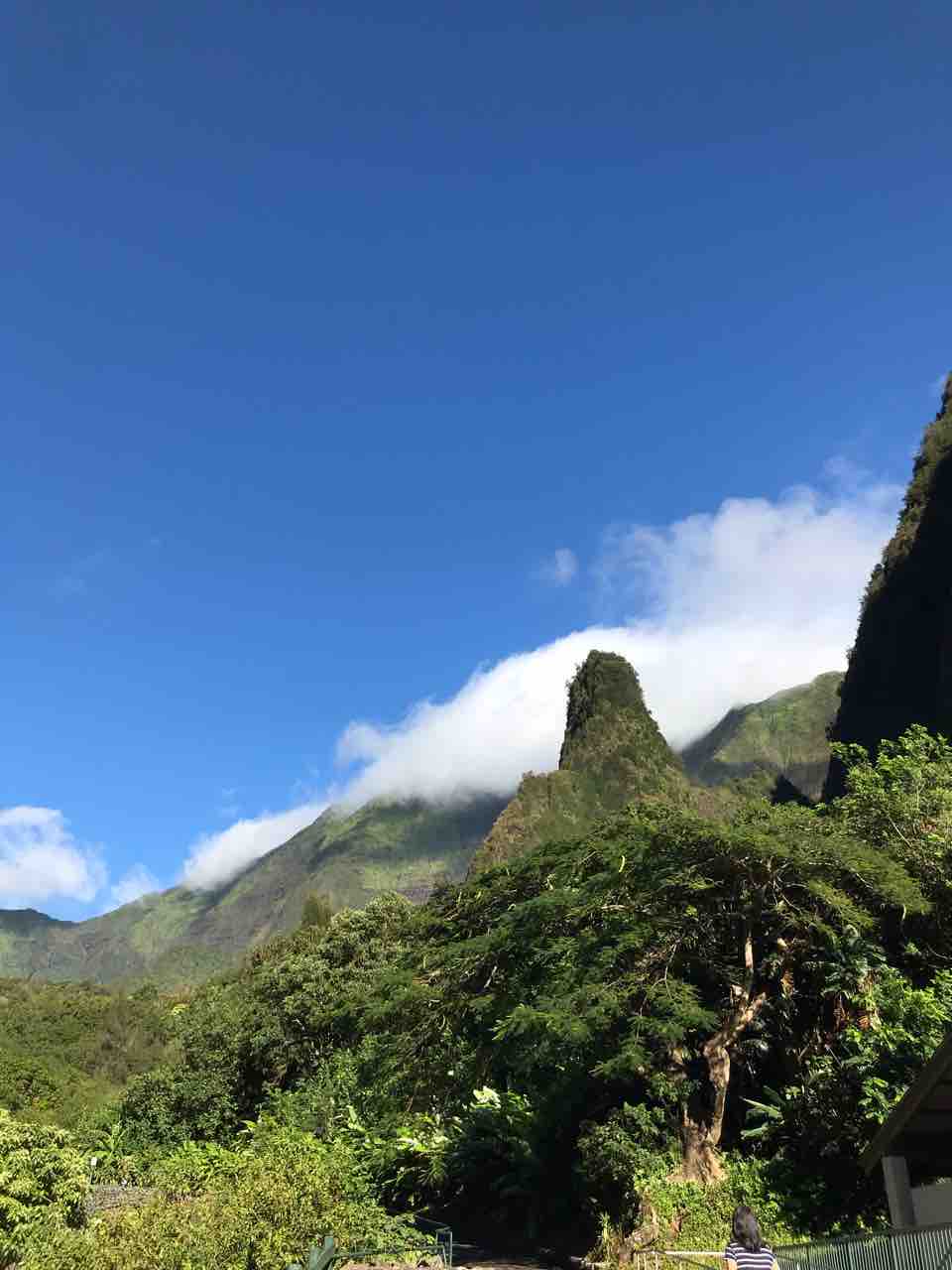 ひとりハワイ 2 イアオ渓谷からハレアカラへ キエレさんのmahalo日記