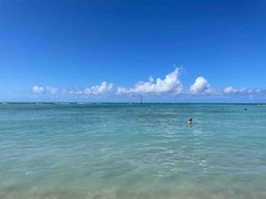 IMG_9101