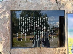 IMG_8810