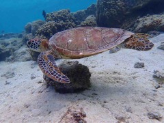 IMG_9748