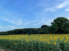 IMG_9565