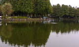61381321.jpg