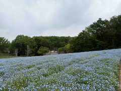 IMG_6413
