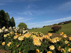 IMG_6928