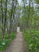 IMG_4456