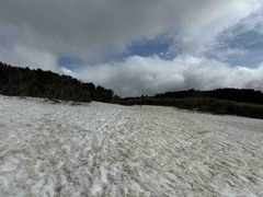IMG_3689