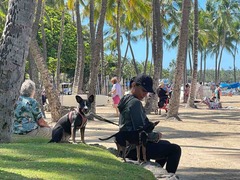 IMG_9094
