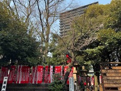IMG_2915