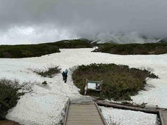 IMG_3687