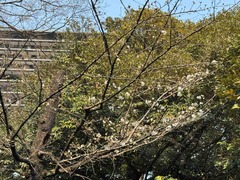 IMG_2916