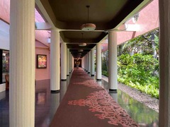 IMG_9105