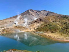 IMG_2019