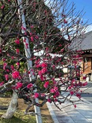 IMG_3354
