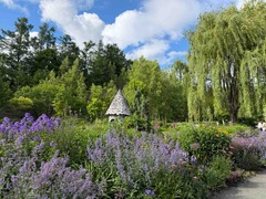 IMG_8629