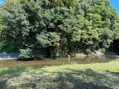 IMG_0620