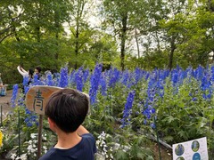 IMG_6541