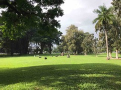 IMG_5307