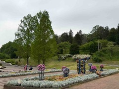 IMG_6428