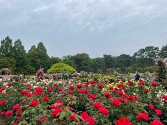 IMG_6797