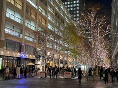 IMG_4112
