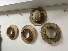 IMG_3055