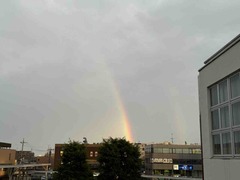 IMG_4632