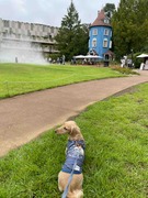 IMG_8940