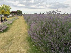IMG_8213
