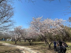 IMG_4311