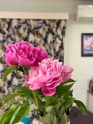 IMG_6473